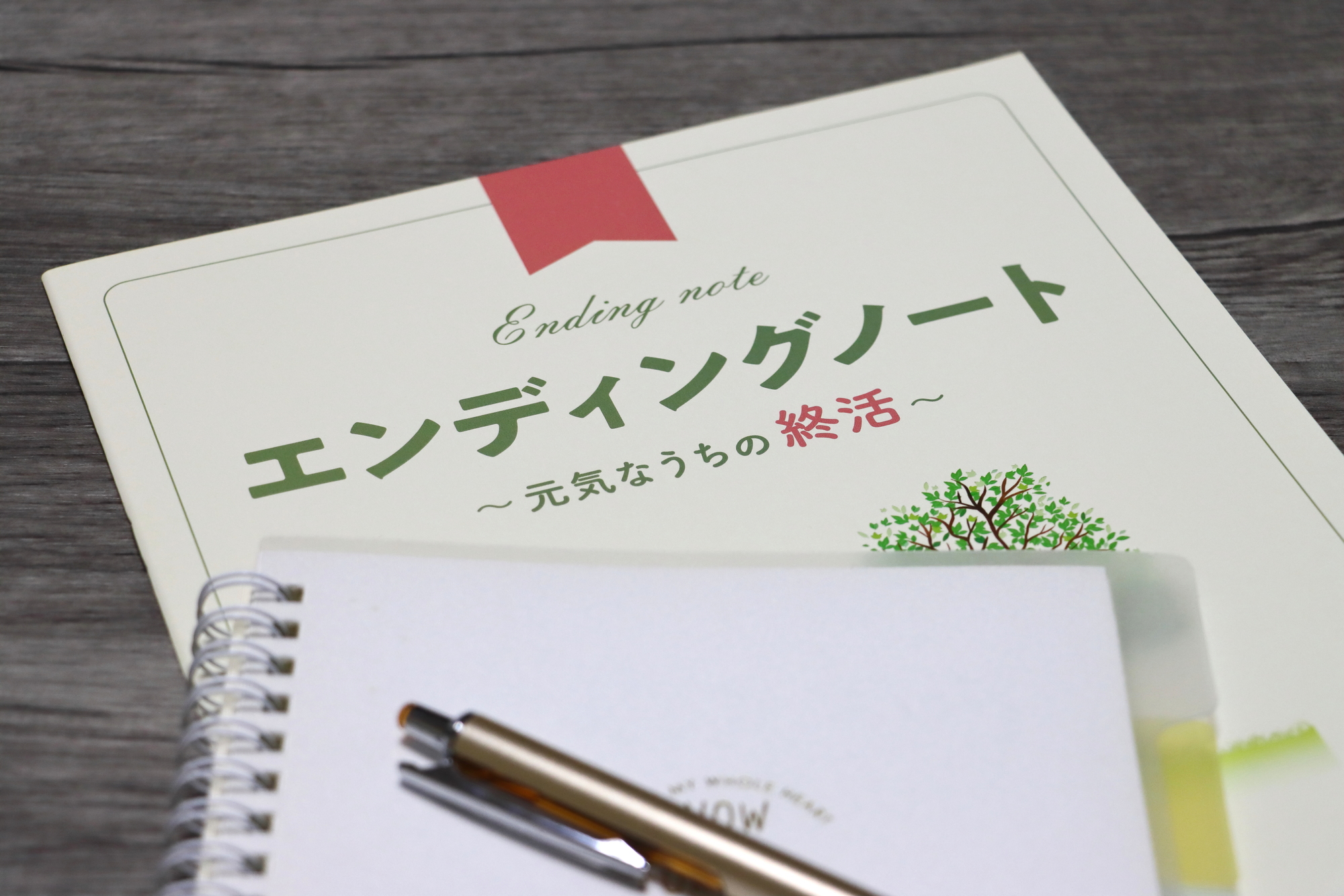 終活は誰に相談する？窓口ごとの違いと選び方を解説